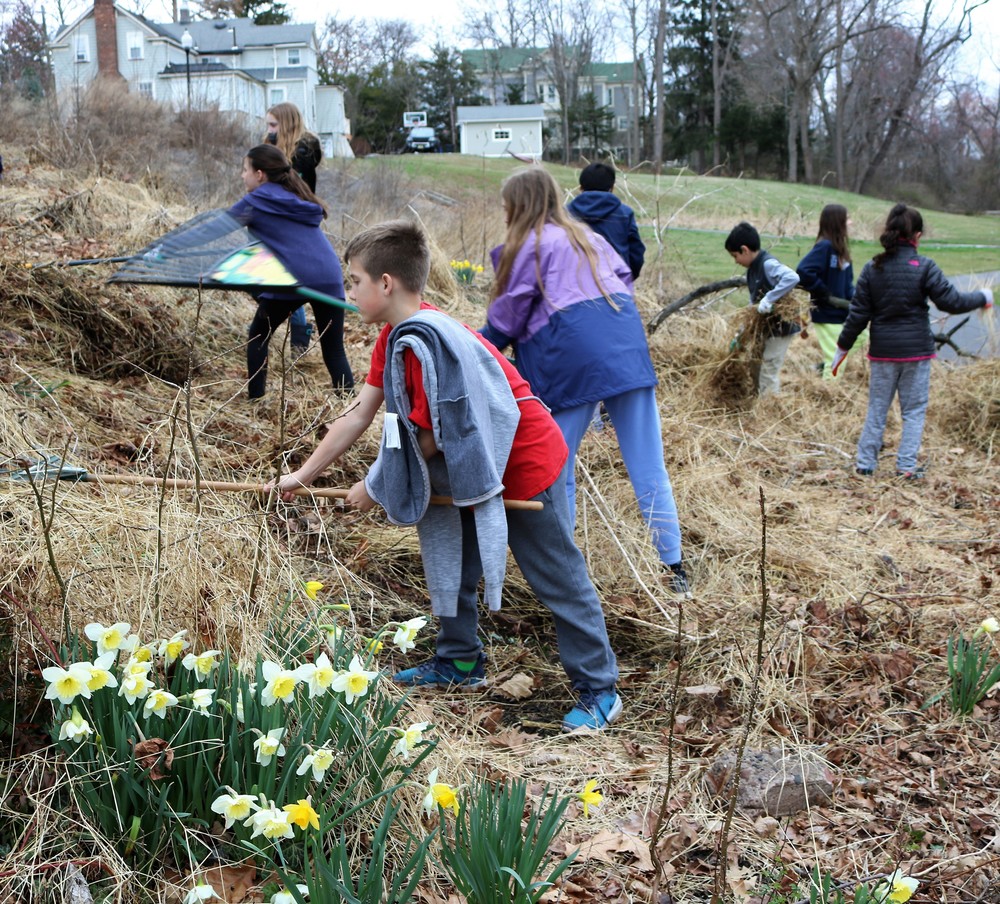 Washington 5th graders clean up local park.