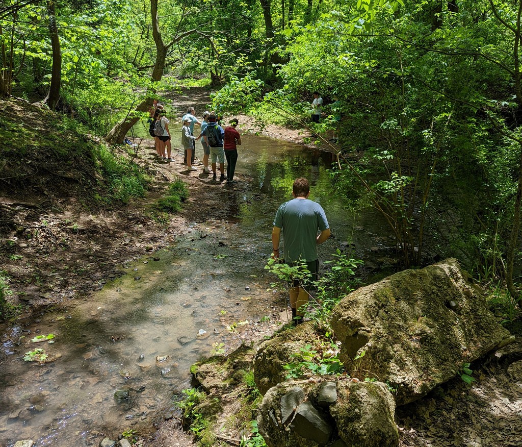 WHS students walk through stream during environmental field trip