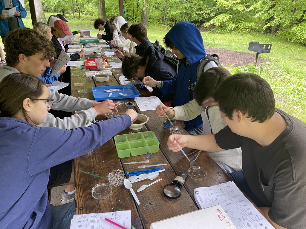 WHS students conduct sampling experiments during field trip