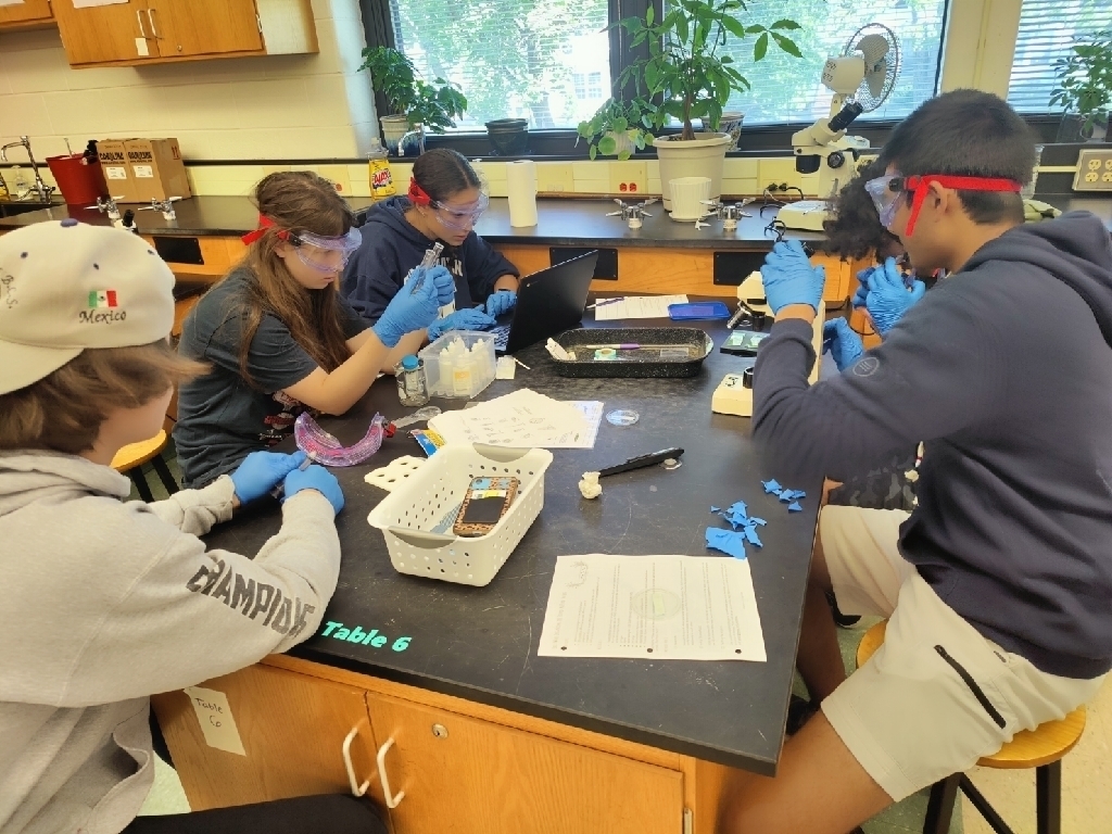 Students in WHS biology class study microorganisms