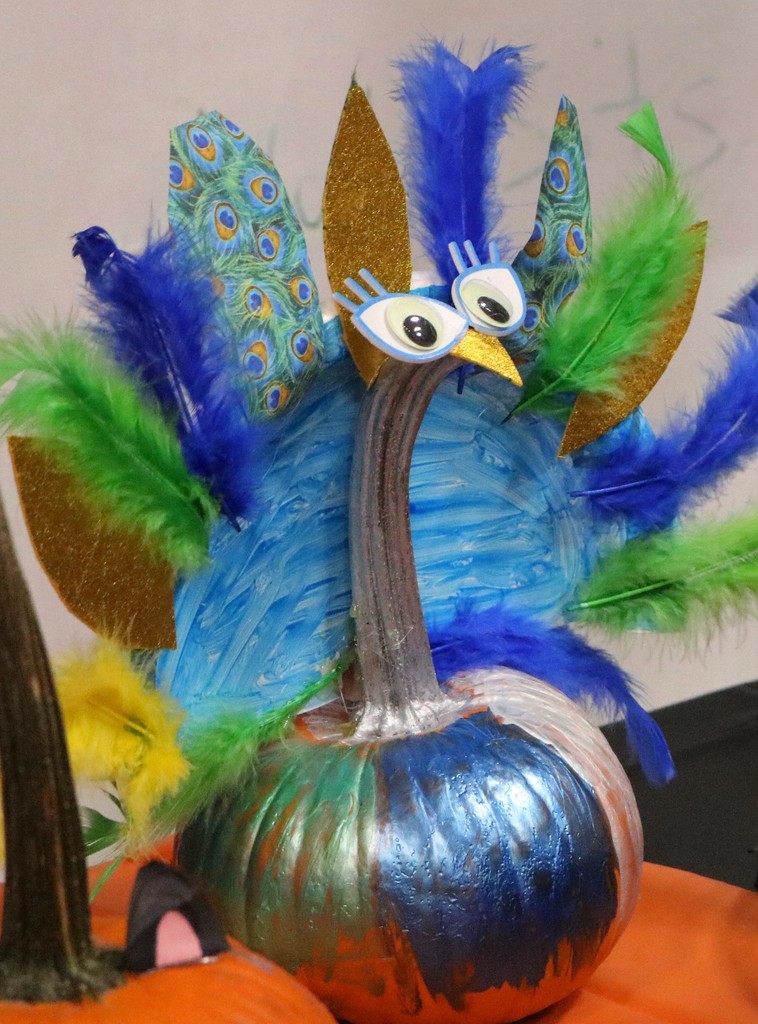 Pumpkin designed as a peacock