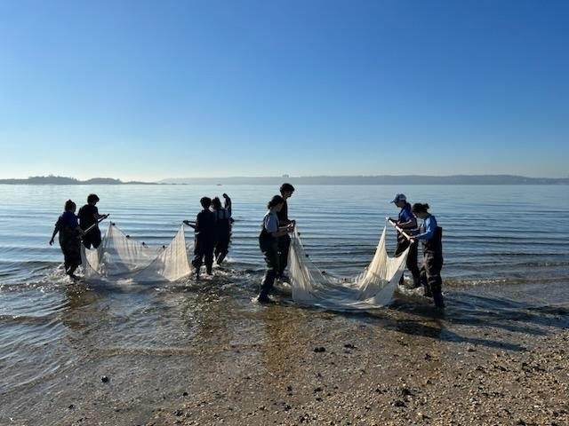 Four WHS environmental science students with nets in the water