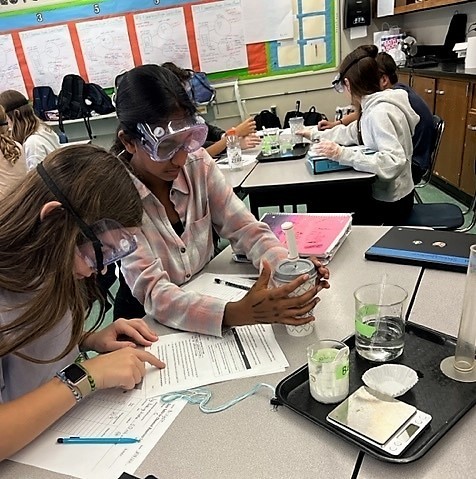 RIS 7th graders doing science labwork