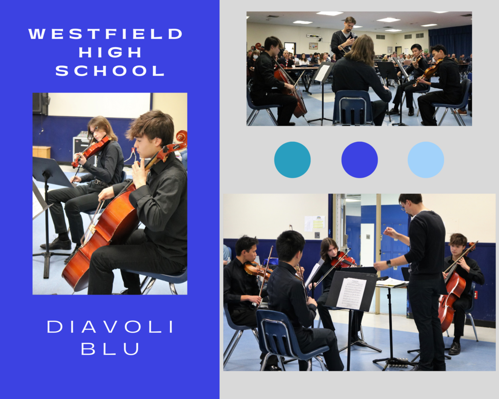 Graphic showing photos of WHS string quartet performing at Board meeting